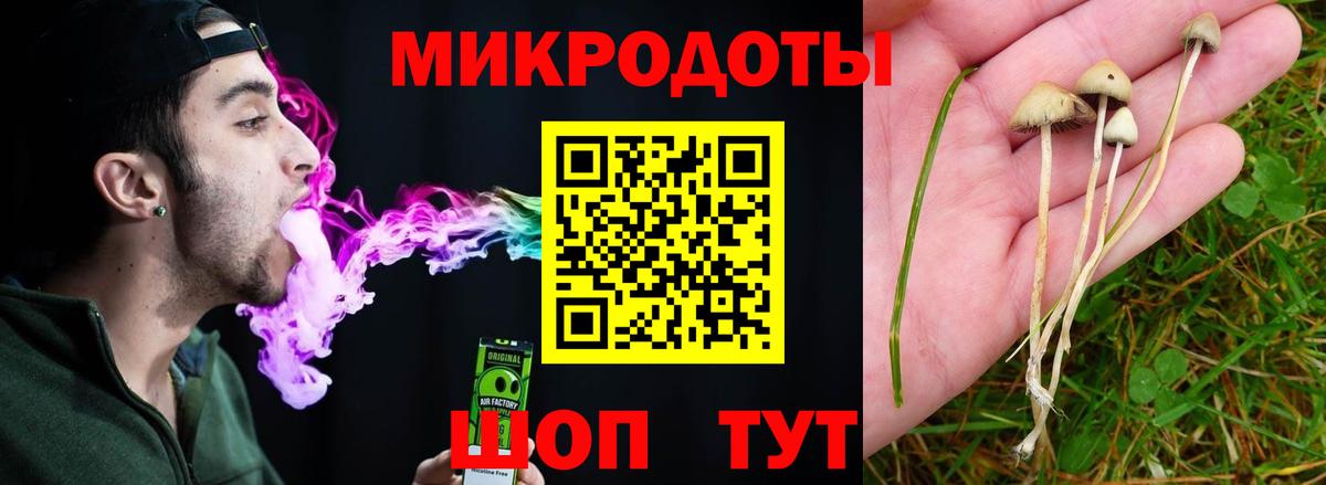 Прокопьевск  Псилоцибиновые грибы прущие грибы  купить наркотик  Вход с VPN 