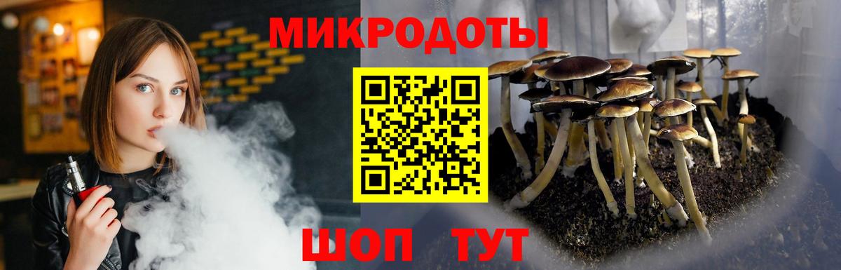 Псилоцибиновые грибы мицелий Прокопьевск